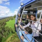 Arthurs Seat Eagle: Scenic Gondola Ride - What to Expect at the Top