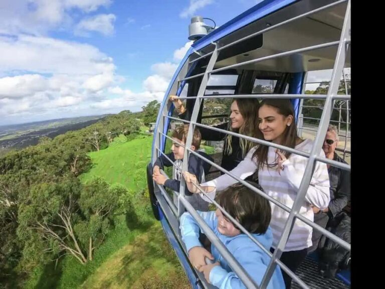 Arthurs Seat Eagle: Scenic Gondola Ride - What to Expect at the Top