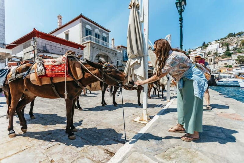 Athens: Hydra, Poros & Aegina Day Cruise with Lunch - Hydra’s car-free streets and donkey-proof logistics