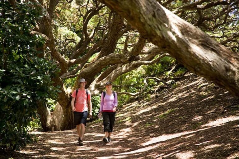 Auckland City and West Coast Luxury Tour - The Value of the Tour