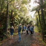 Auckland City, Beaches & Rainforest Premium Small Group Tour - Moving to Nature: Rainforest and Beaches