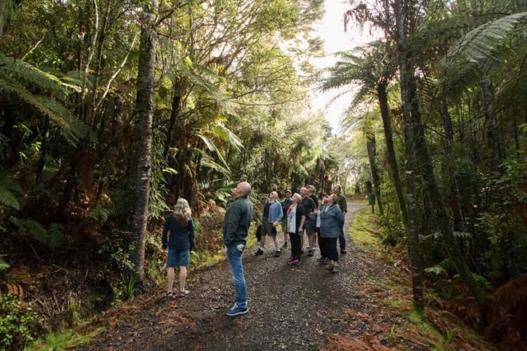 Auckland City, Beaches & Rainforest Premium Small Group Tour - Moving to Nature: Rainforest and Beaches