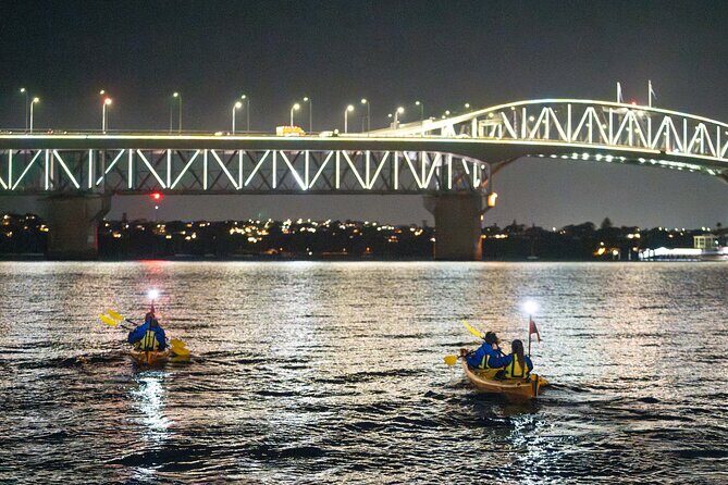 Auckland City Lights Night Kayaking Tour - Who Should Consider This Tour?