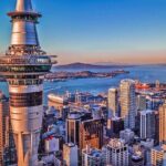 Auckland Highlight Fullday City Tour - The Value and Practicalities