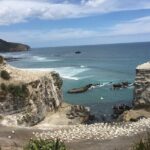 Auckland Sights Exclusive 4 Hour Luxury Day Tour - Who Will Love This Tour?