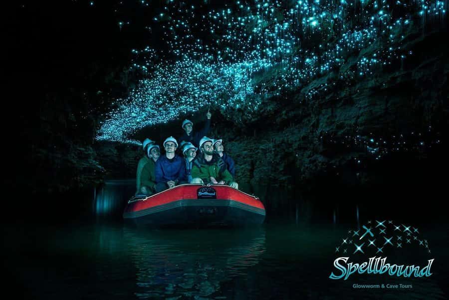 Auckland: Spellbound Glowworm Caves Explorer Tour - The Verdict: Who Will Love This Tour?