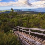 Auckland to Rangitoto Island Ferry - What Do the Reviews Say?
