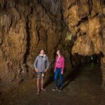Auckland to Rotorua via Waitomo Caves Small Group Tour (One Way) - Authentic Traveler Perspectives