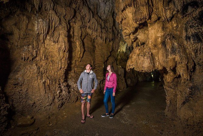 Auckland to Rotorua via Waitomo Caves Small Group Tour (One Way) - Authentic Traveler Perspectives