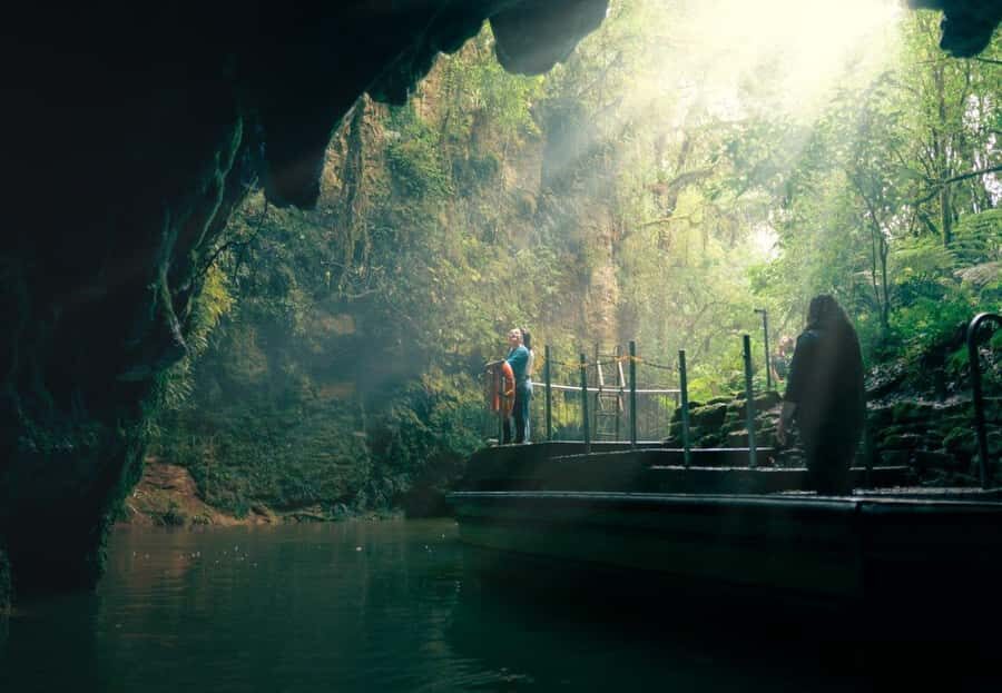 Auckland: Waitomo Caves & Rotorua - Te Puia Small-Group Tour - The Itinerary Breakdown