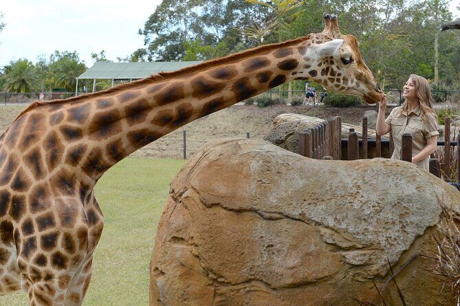 Australia Zoo Transfer from Noosa and Sunshine Coast - FAQs