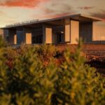 Australian Dinosaur Giants Tour - The Value of the Tour