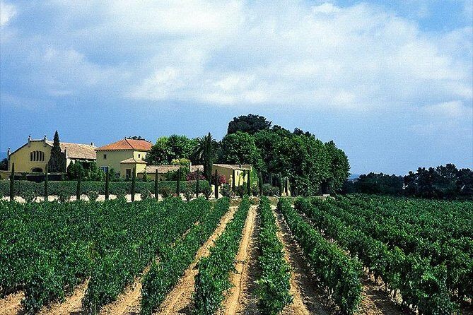 Barcelona Airport, Cuise Port or City Hotels Private Transfer - Pickup Rules: Where the Driver Will Find You