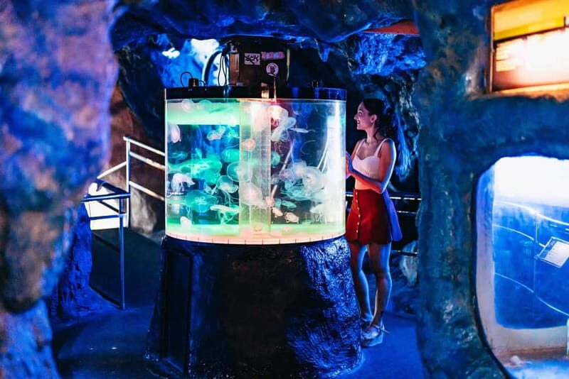 Barcelona Aquarium: Entry Ticket - Ticket basics: $34, 1 day, and the important timing rule