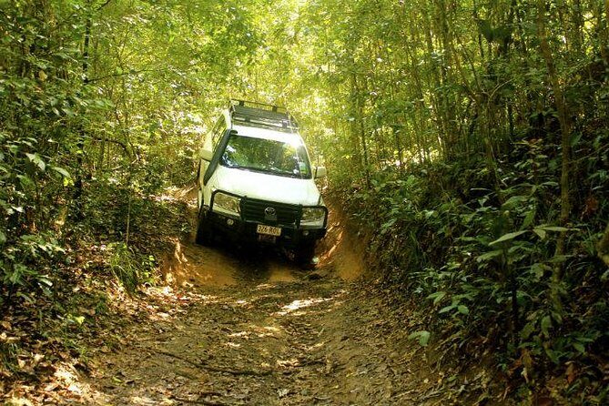 Barron Gorge and Kuranda National Park Half Day Rainforest and Waterfall 4WD Tour from Cairns - What’s Included and What’s Not