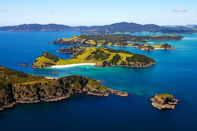 Bay of Islands Cruise & Island Tour - Snorkel, Hike,Swim,Wildlife - Comparing the Experience to Reviews