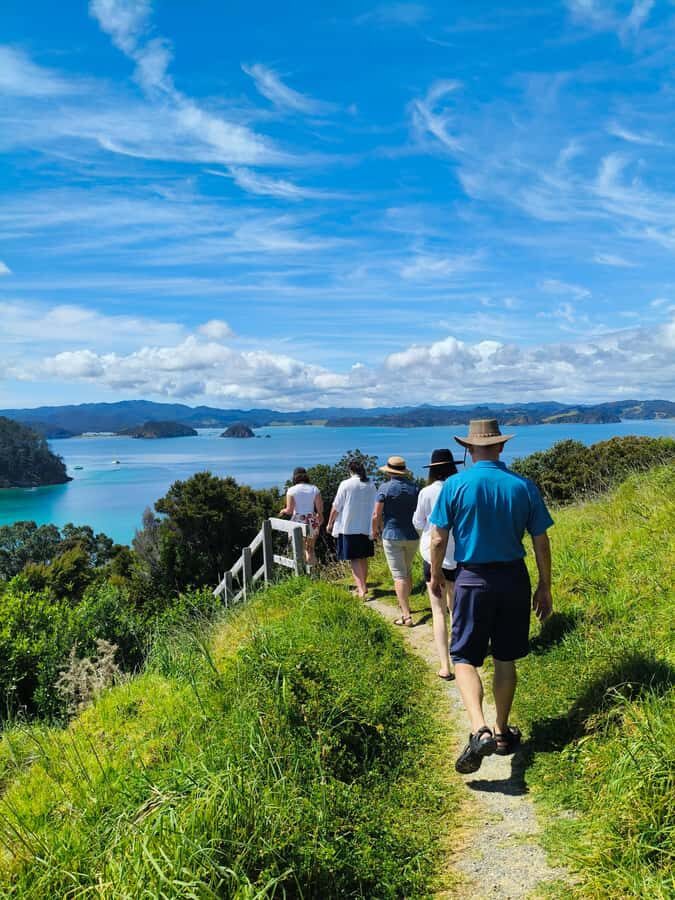 Bay of Islands: Day Sailing Cruise with Island Stop & Lunch - What Makes This Tour Stand Out?