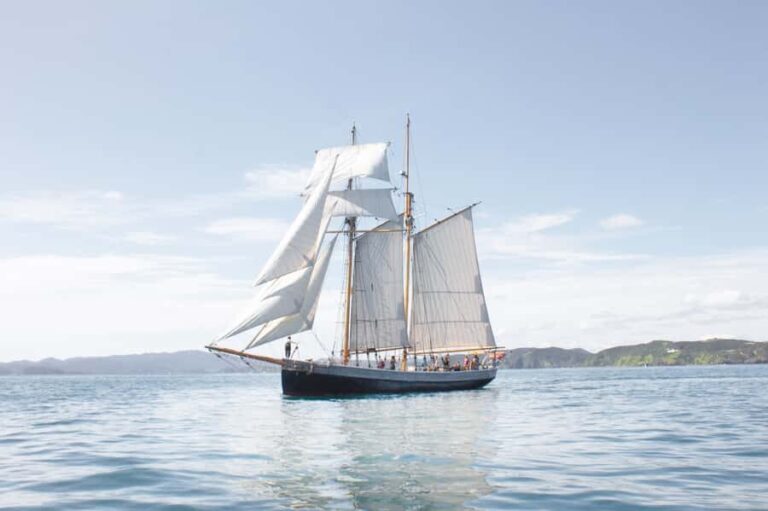 Bay of Islands: Full-Day Tall Ship Sailing Excursion - What to Expect at the Meeting Point and Departure