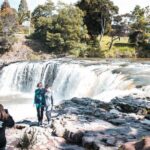 Bay of Islands Glow Worm Caves & Scenic Shore Excursion - Transportation and Group Size