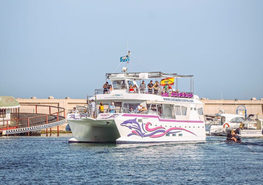 Benalmadena: Dolphin Watching Boat Tour - The New Magic Catamaran: Comfort, Shade, and Underwater Windows