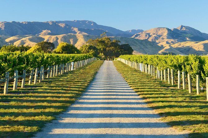 Beyond the Vines - Full-Day Marlborough Wine Tasting Tour - Detailed Breakdown of the Itinerary