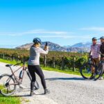 Bike The Wineries (1/2 Day) - Quick Pedal to Pinot - The Itinerary Breakdown