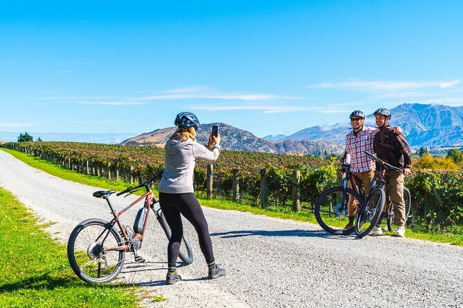 Bike The Wineries (1/2 Day) - Quick Pedal to Pinot - The Itinerary Breakdown