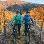 Bike The Wineries (Full-Day) - Bike & Wine Tour - What Do People Say?