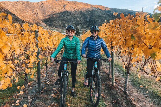 Bike The Wineries (Full-Day) - Bike & Wine Tour - What Do People Say?
