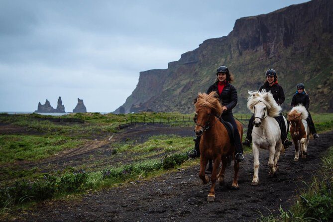 Black Sand Beach Horse Riding Tour from Vik - Meet the Icelandic Horses: Calm, Small, and Built for Beginners