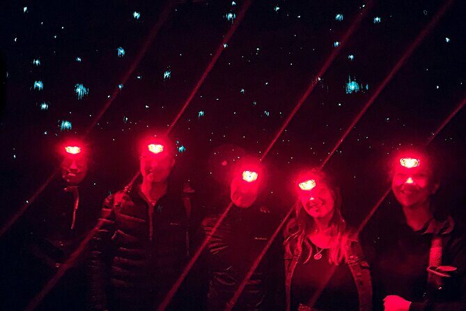 Blue Mountains Hiking Glow worms Cave Wildlife Spotlighting Night Adventure - The Bottom Line