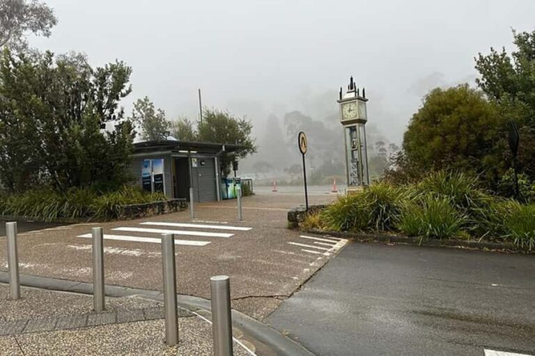 Blue Mountains: Private Tour with Wildlife and River Cruise - Is It Worth the Price?