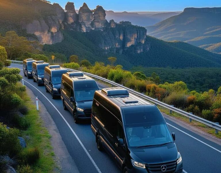 Blue Mountains Tour, Katoomba Falls & Cockatoos Small Group - What the Reviews Say