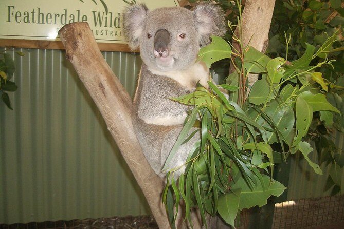 Blue Mountains Tour PRIVATE with Wildlife Park and River Cruise - How It Compares to Other Tours