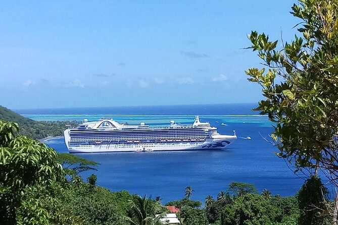 Blue Pearl Private Tour - Who Is This Tour Best For?