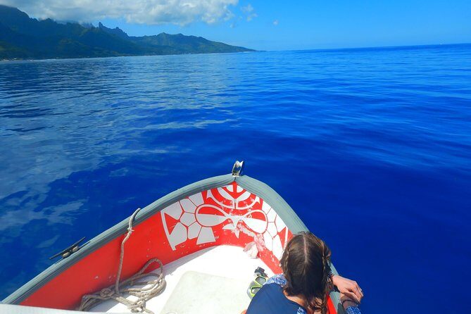 Boat tour 1/2 day Excursion in the lagoon of Moorea - Who Is This Tour Best For?