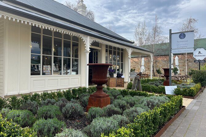 Bonorong Wildlife Park and Richmond Afternoon Tour from Hobart - Transportation and Guide Experience