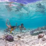 Bora Bora: Eco Shark and Snorkeling Safari - The Verdict