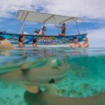 Bora Bora Full Day Snorkeling with Lunch - What’s Included and What to Plan For