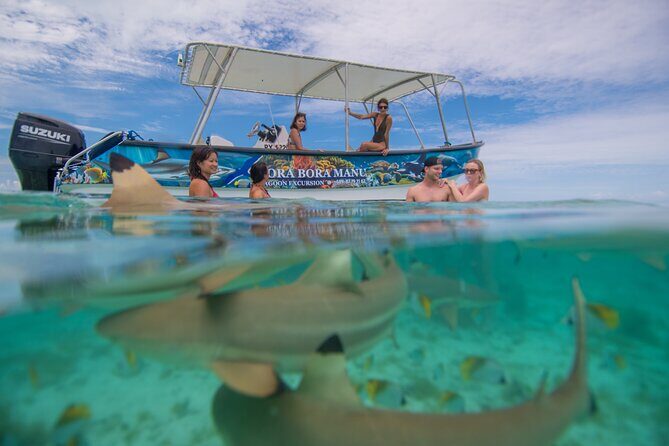 Bora Bora Full Day Snorkeling with Lunch - What’s Included and What to Plan For