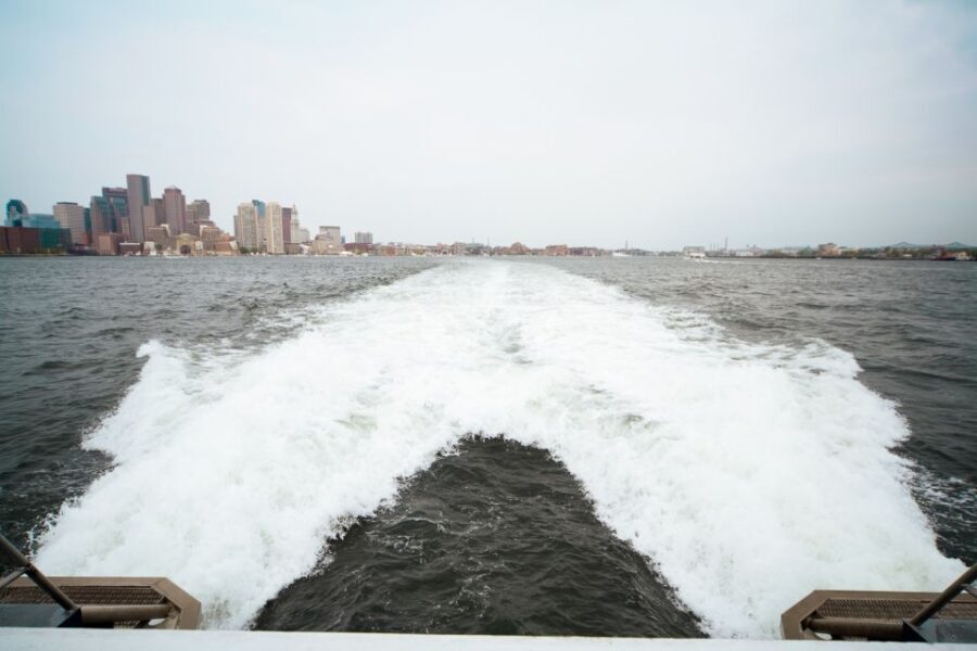 Boston: City Cruises Whale Watching Cruise - Meeting at One Long Wharf: Convenient, Walkable, and Easy to Find