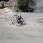 Boutique tour , Mt Maunganui, NZ farm, Rotorua lakes/geothermal - The Transport and Guide Experience