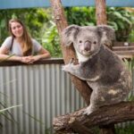 Breakfast with the Koalas at Hartley's Crocodile Park from Cairns or Palm Cove - Who Is This Tour Best For?