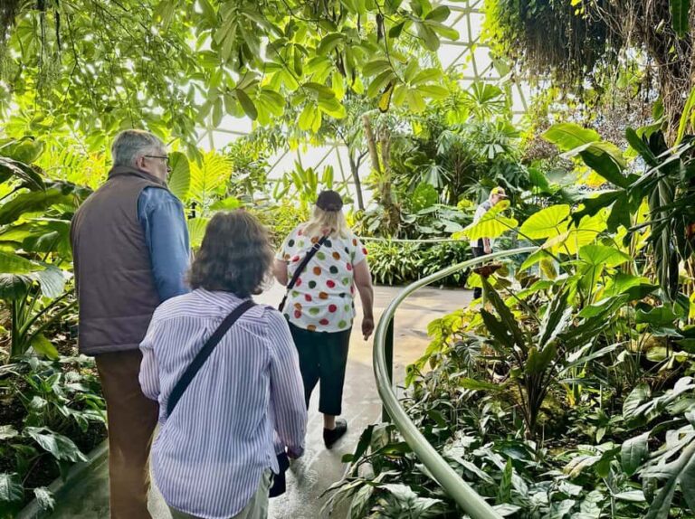 Brisbane Bus Tour: City highlights & Mt Coot-tha Lookout - What to Expect and Practical Info