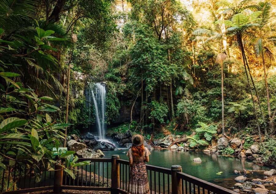 Brisbane: Hop on Hop off Bus to Tamborine Mountain - What We Love About This Experience