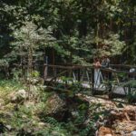 Brisbane: Rainforests, Waterfalls and Glow Worm Cave Tour - Exploring the Rainforests and Waterfalls