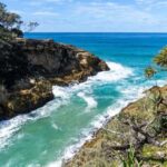 Brisbane to North Stradbroke Island Day: Wildlife & Beaches - Why This Tour is Worth Considering