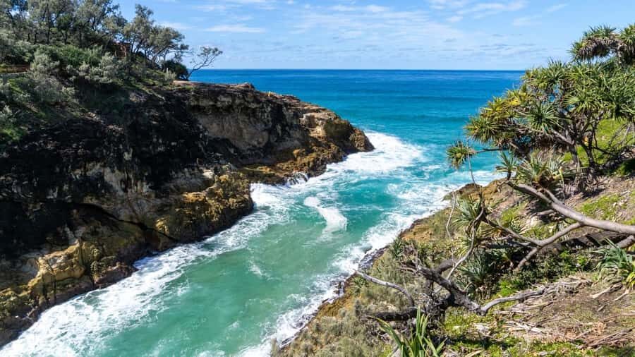 Brisbane to North Stradbroke Island Day: Wildlife & Beaches - Why This Tour is Worth Considering