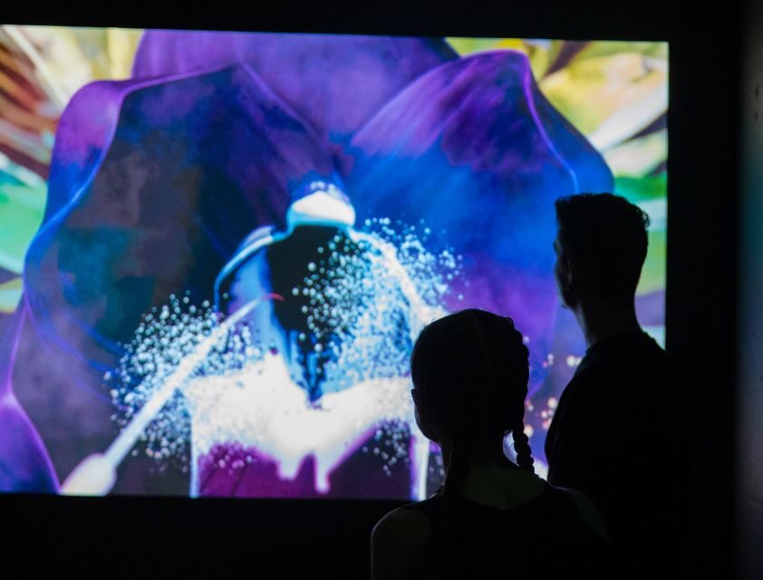 Budapest: Cinema Mystica Entry Ticket - Tickets, timing, and the easy logistics that matter