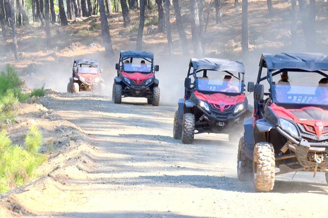 Buggy Safari for 2 people - The Safety and Professional Standards